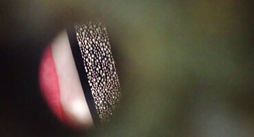 Sparno papar opustošili rak na štednjaku grupni seks porno filmovi svoje žene