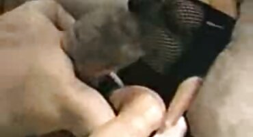 Topla kurva pornić seks vrlo uzbuđen seks u napuštenoj sobi