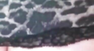 Putuje penis na vrhu seksi besplatni filmovi svoje gladne vagine