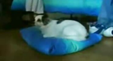 Anal romanticni porno filmovi u kupaonici mladić jebeno djevojku