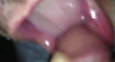 Prije penetracije lizati dlakave maca grupni seks filmovi